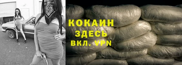 PSILOCYBIN Алагир