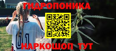 индика Ипатово