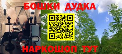 индика Ипатово