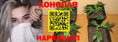 индика Ипатово