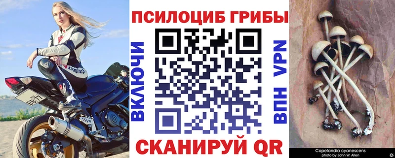 дарнет шоп  Москва  mega ссылки  Галлюциногенные грибы прущие грибы 