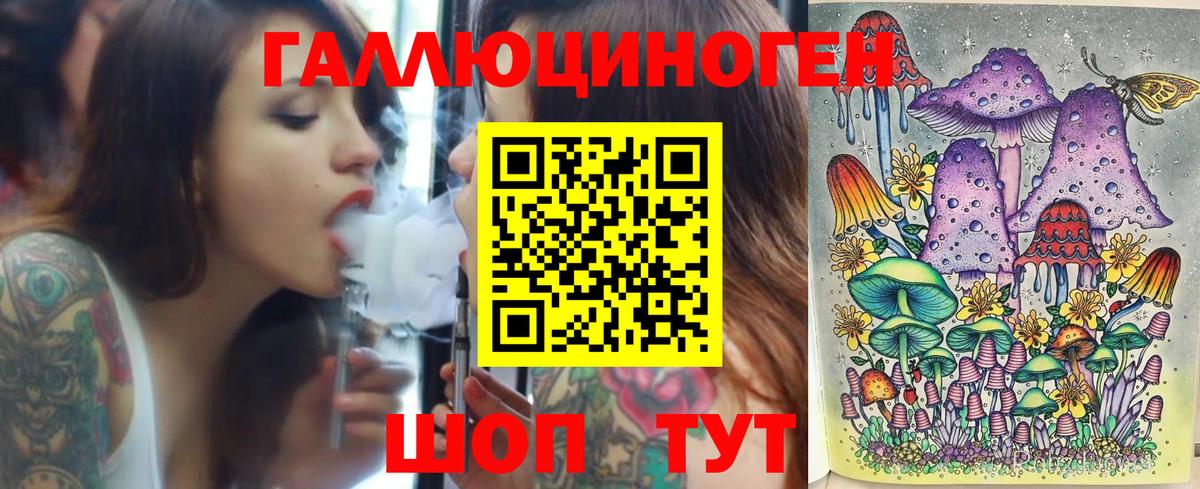Галлюциногенные грибы Psilocybine cubensis Москва